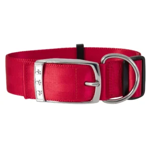 Life Solid Metal Buckle Dog Collar, Red, Extra Large XL