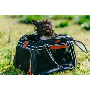 Small Pet Travel Carrier, Black and Tan, 17